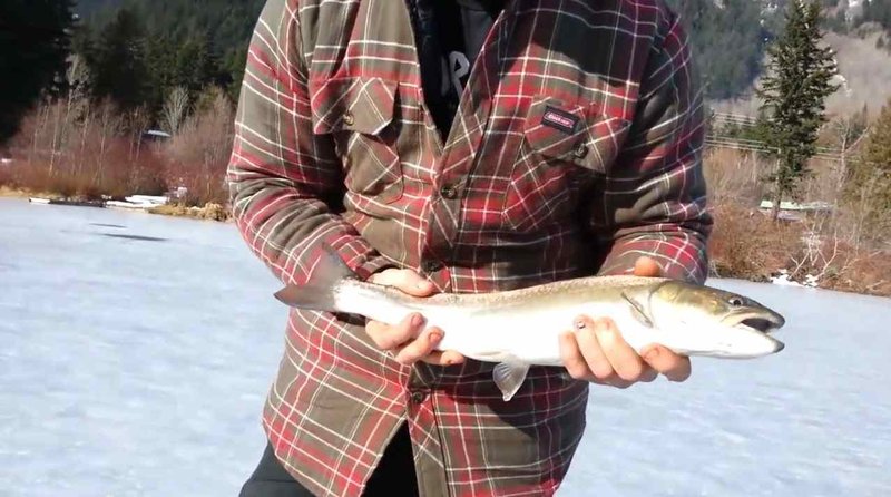 Ice fishing gambling game in Canada